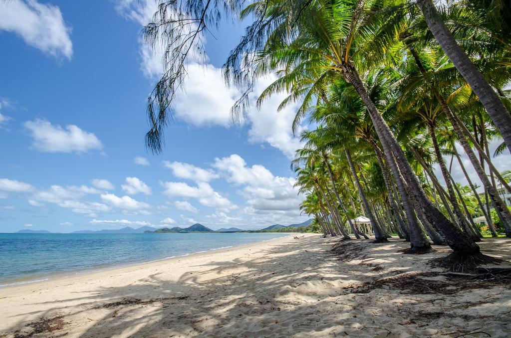 Marlin Waters Beachfront Apartments Palm Cove Dış mekan fotoğraf