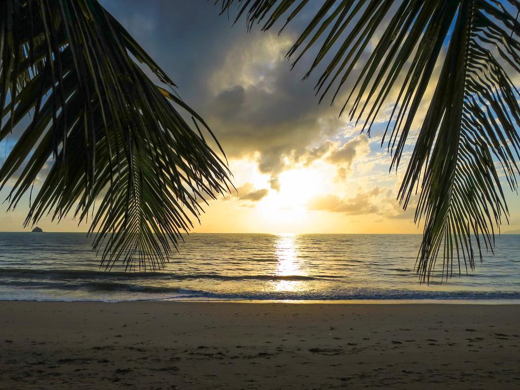 Marlin Waters Beachfront Apartments Palm Cove Oda fotoğraf