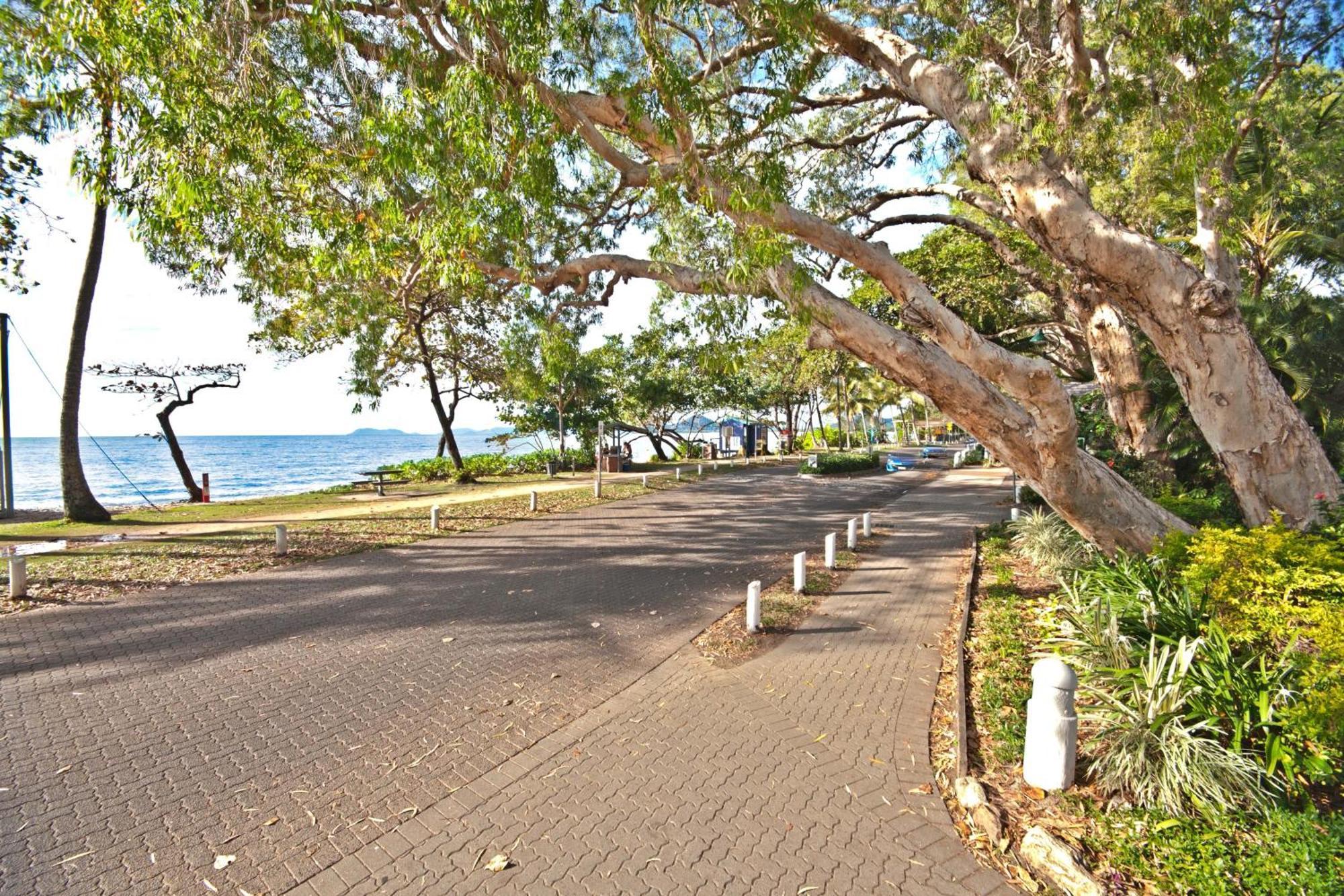 Marlin Waters Beachfront Apartments Palm Cove Dış mekan fotoğraf