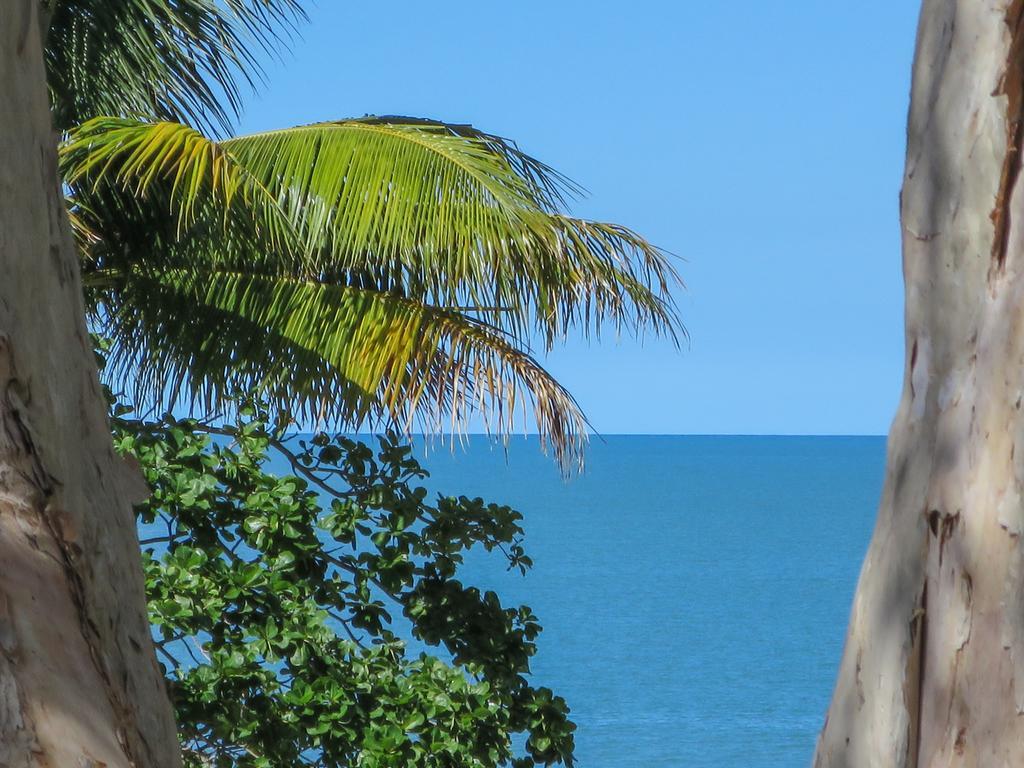 Marlin Waters Beachfront Apartments Palm Cove Dış mekan fotoğraf