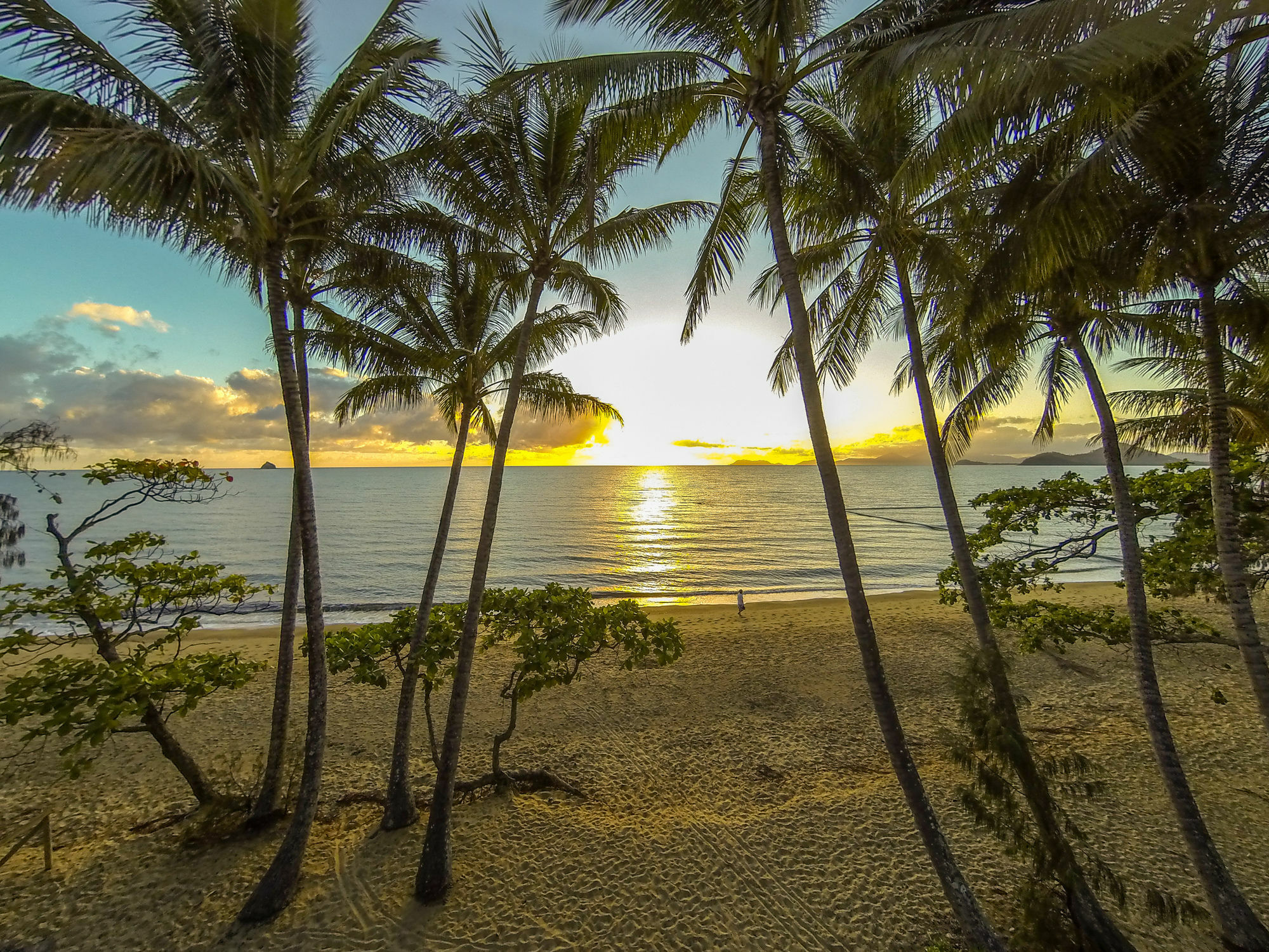 Marlin Waters Beachfront Apartments Palm Cove Dış mekan fotoğraf