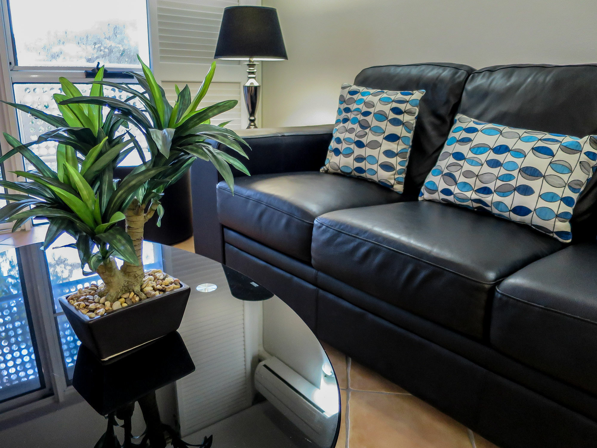 Marlin Waters Beachfront Apartments Palm Cove Dış mekan fotoğraf