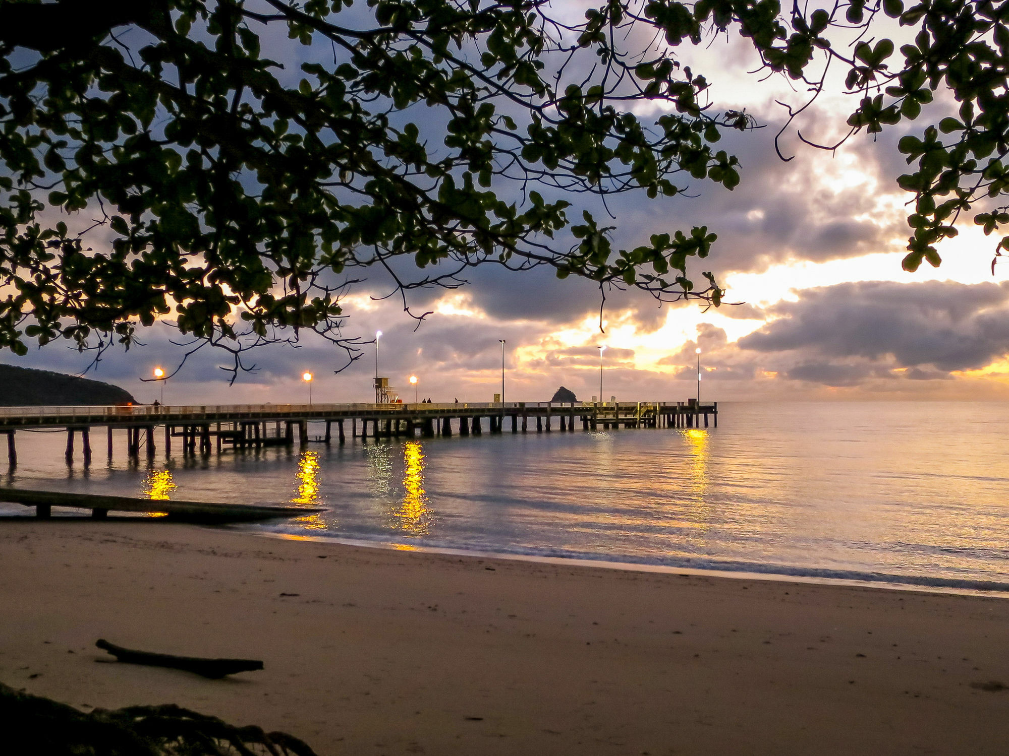 Marlin Waters Beachfront Apartments Palm Cove Dış mekan fotoğraf