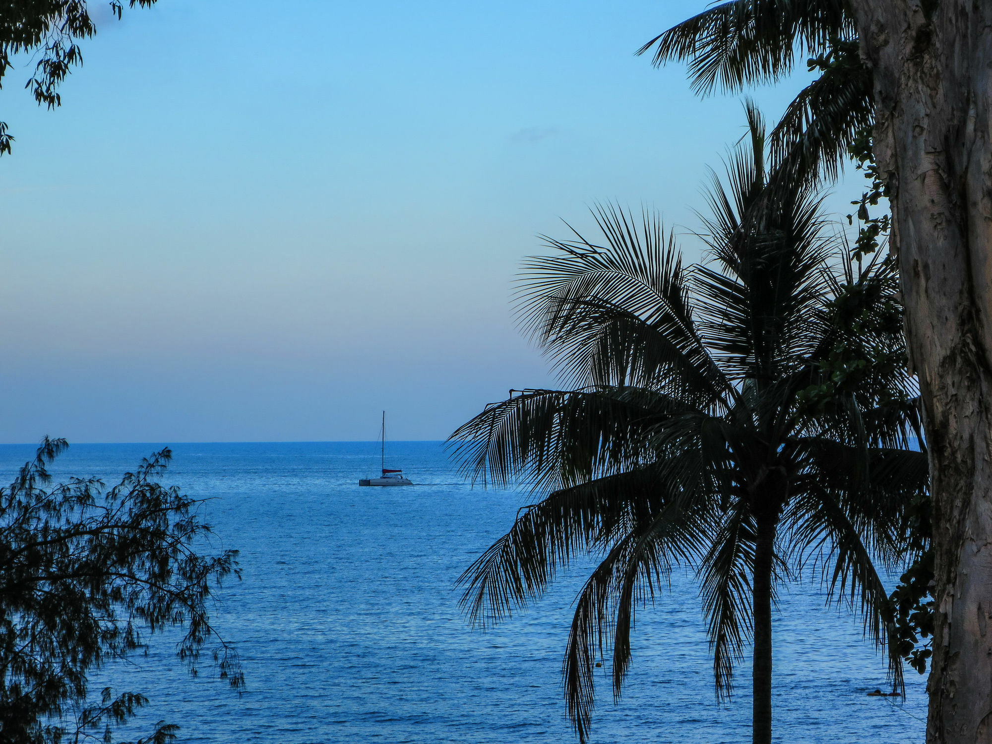 Marlin Waters Beachfront Apartments Palm Cove Dış mekan fotoğraf