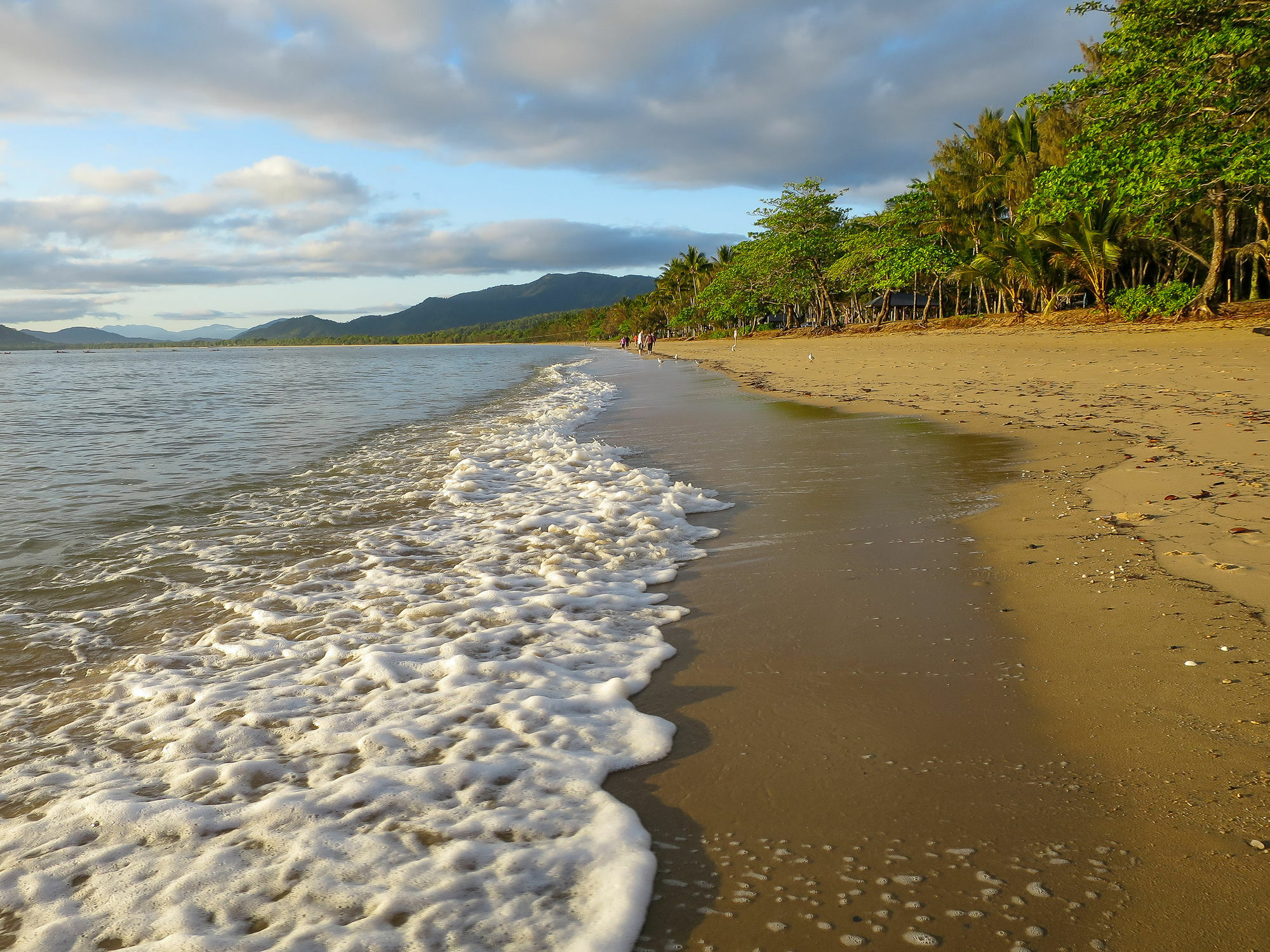 Marlin Waters Beachfront Apartments Palm Cove Dış mekan fotoğraf