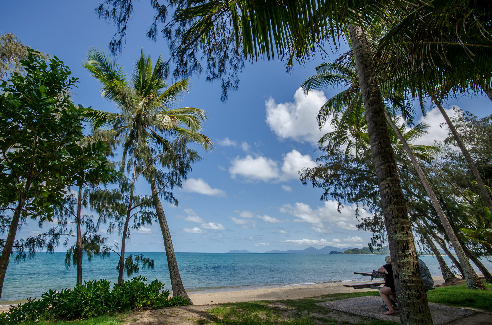 Marlin Waters Beachfront Apartments Palm Cove Dış mekan fotoğraf