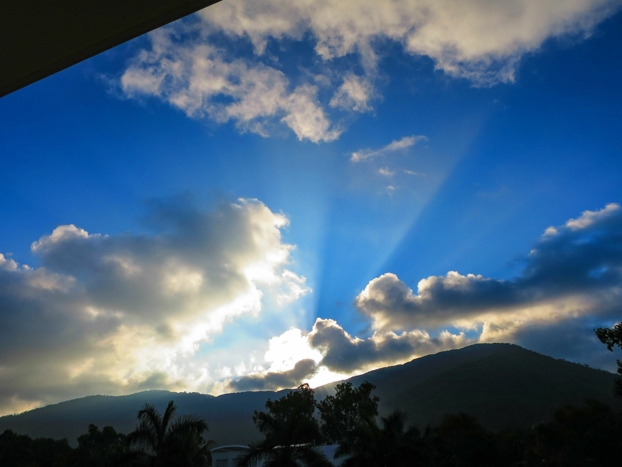 Marlin Waters Beachfront Apartments Palm Cove Dış mekan fotoğraf
