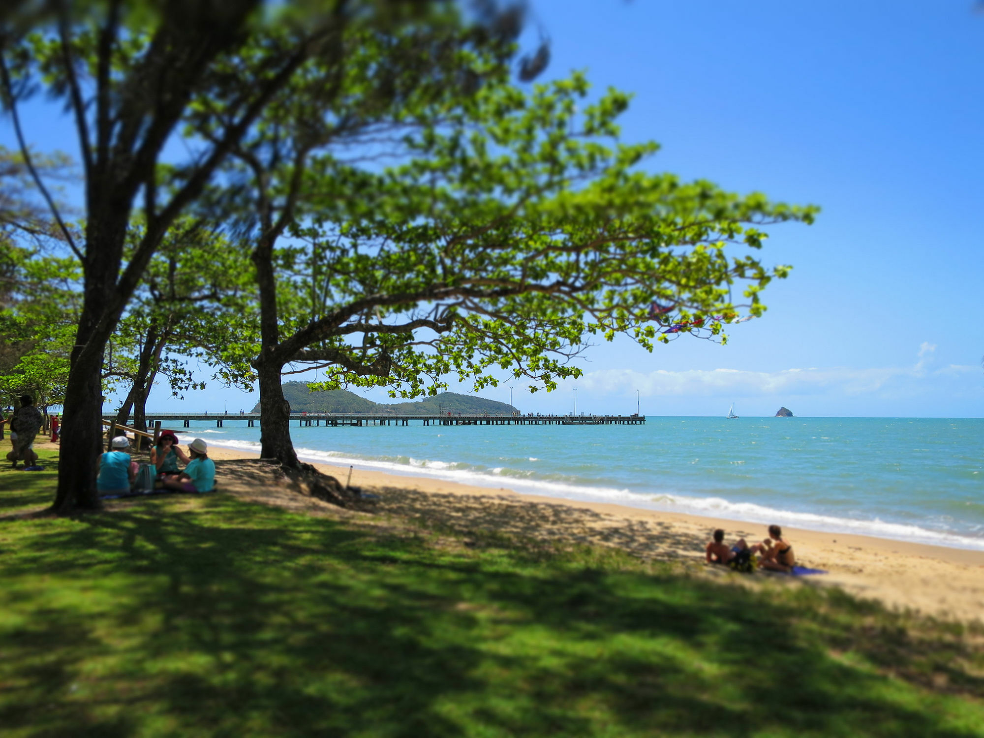 Marlin Waters Beachfront Apartments Palm Cove Dış mekan fotoğraf