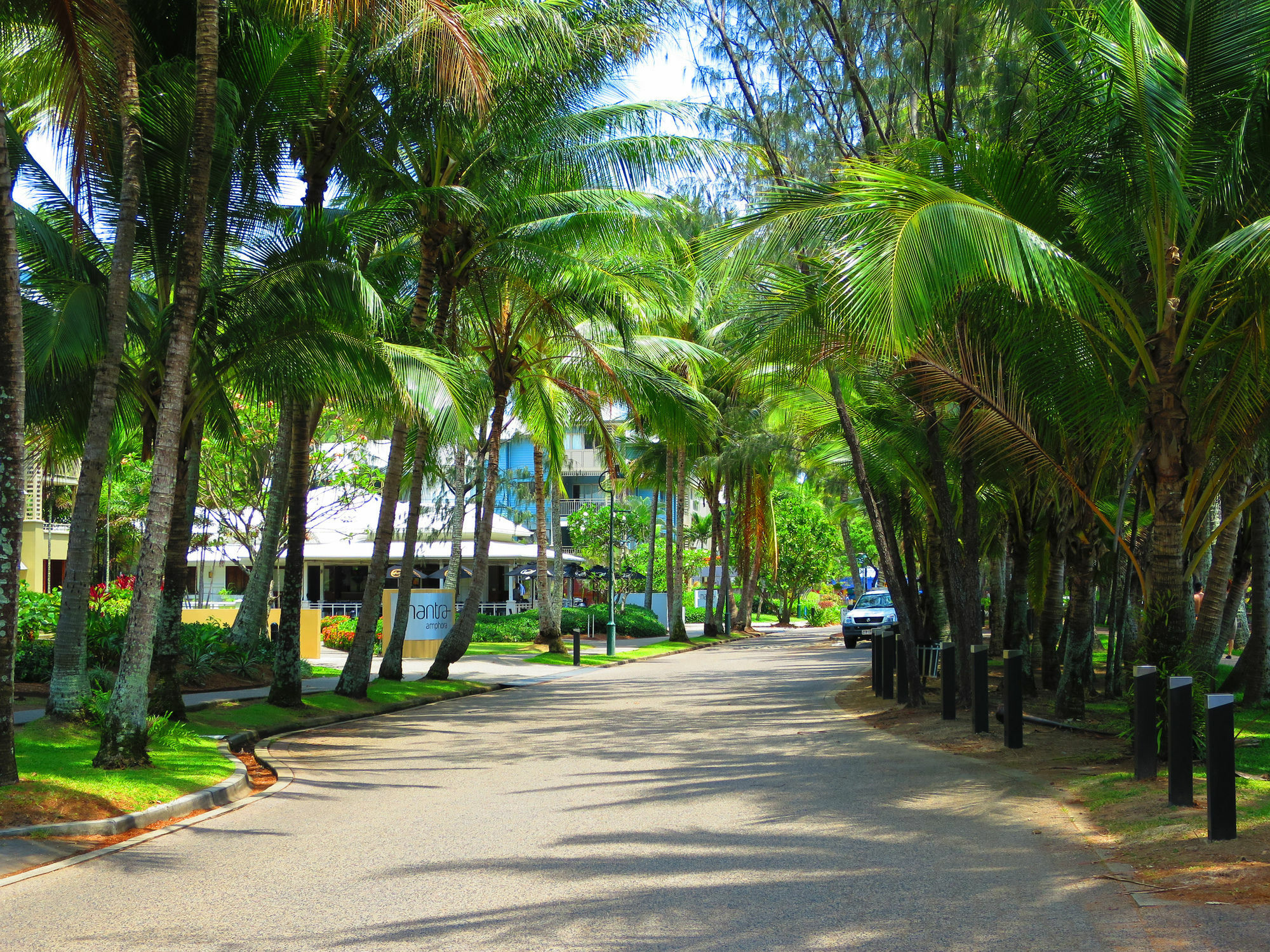 Marlin Waters Beachfront Apartments Palm Cove Dış mekan fotoğraf
