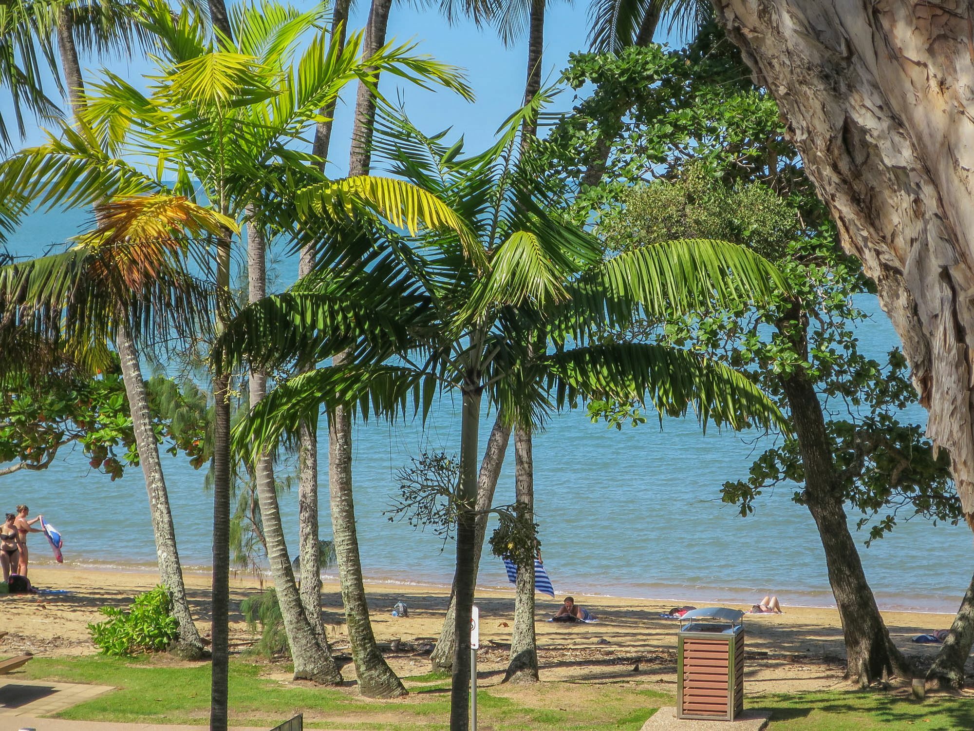 Marlin Waters Beachfront Apartments Palm Cove Dış mekan fotoğraf