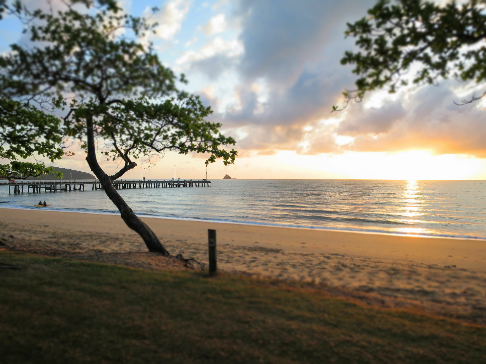 Marlin Waters Beachfront Apartments Palm Cove Dış mekan fotoğraf
