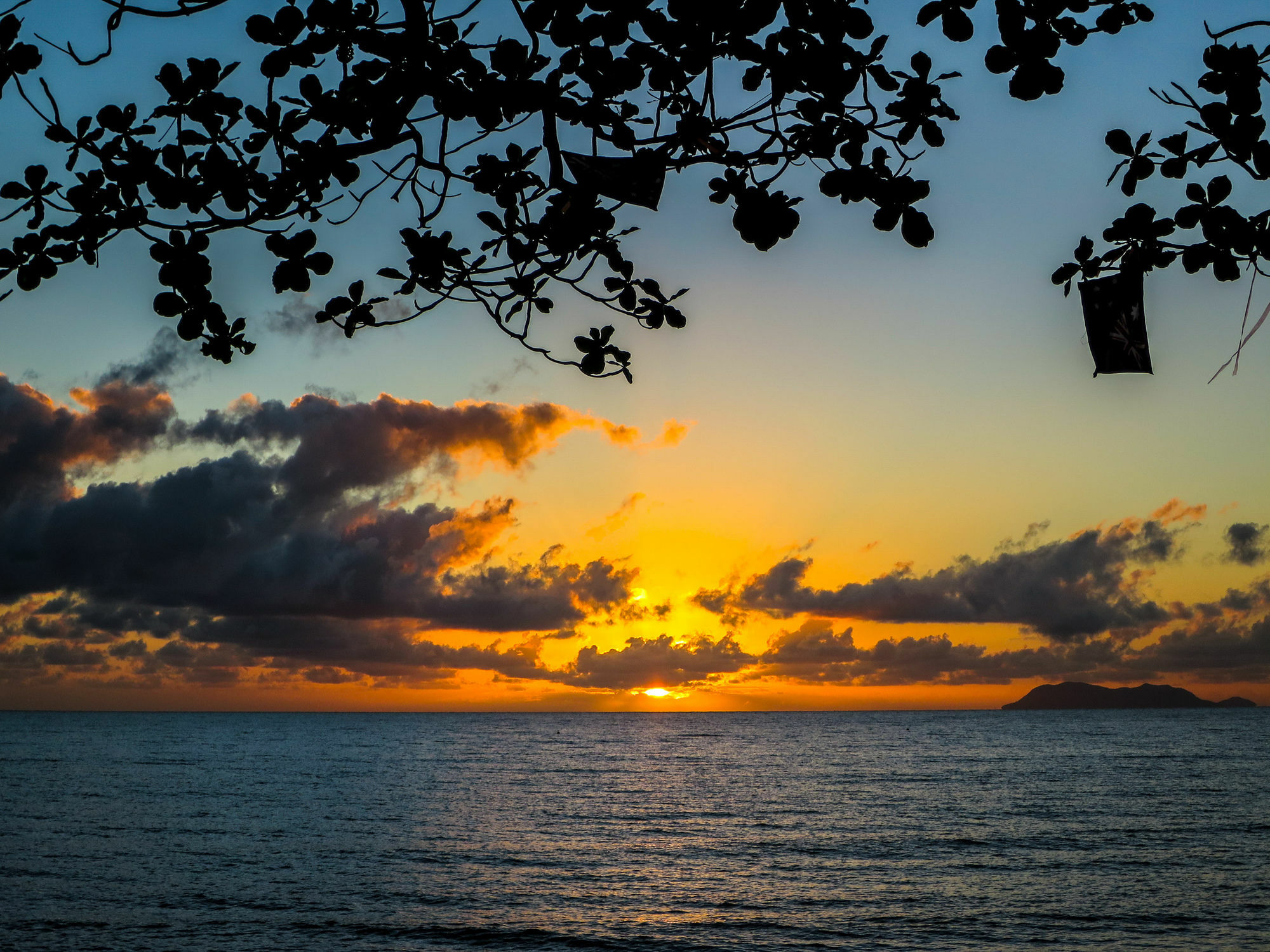Marlin Waters Beachfront Apartments Palm Cove Dış mekan fotoğraf