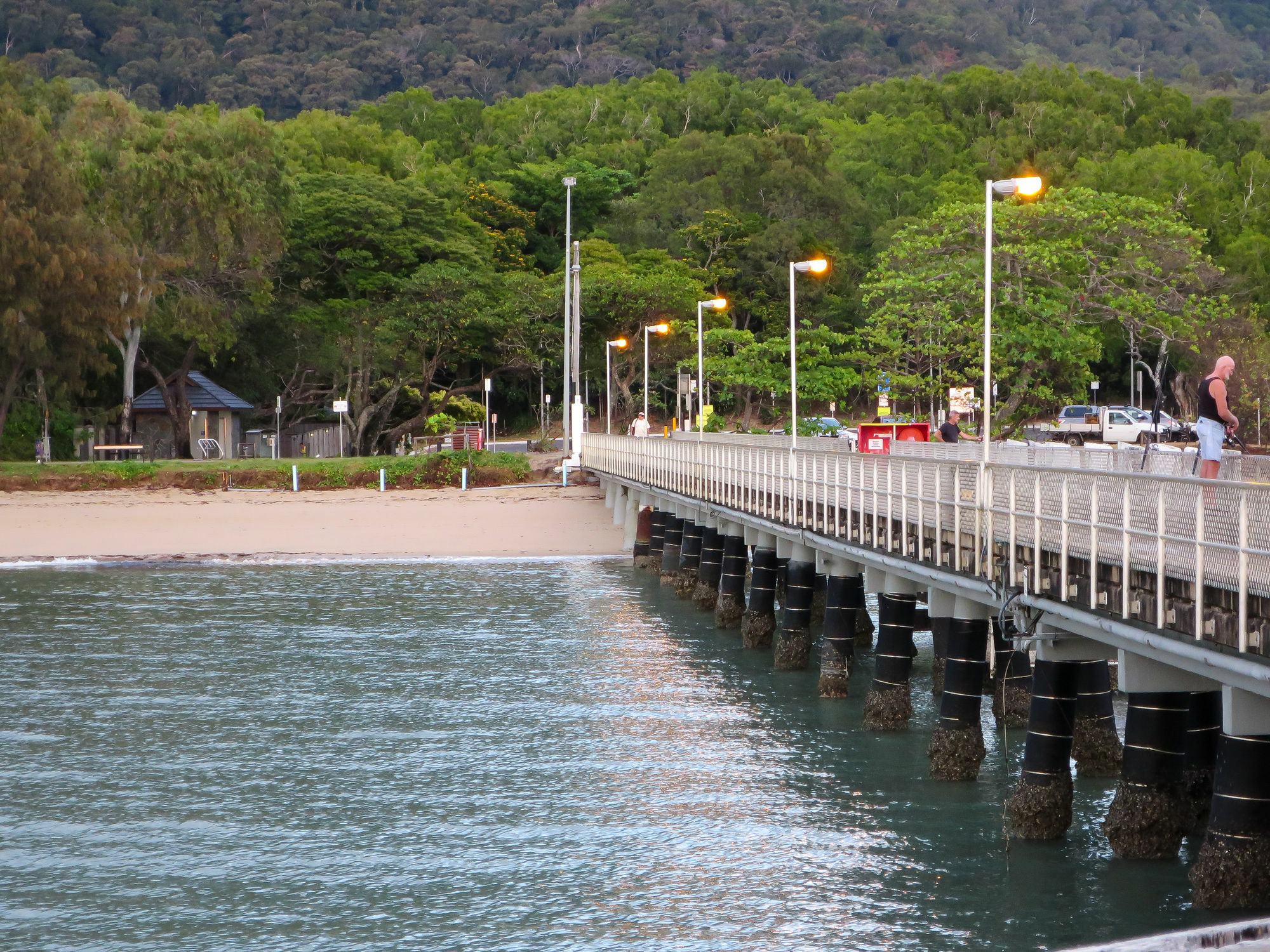 Marlin Waters Beachfront Apartments Palm Cove Dış mekan fotoğraf